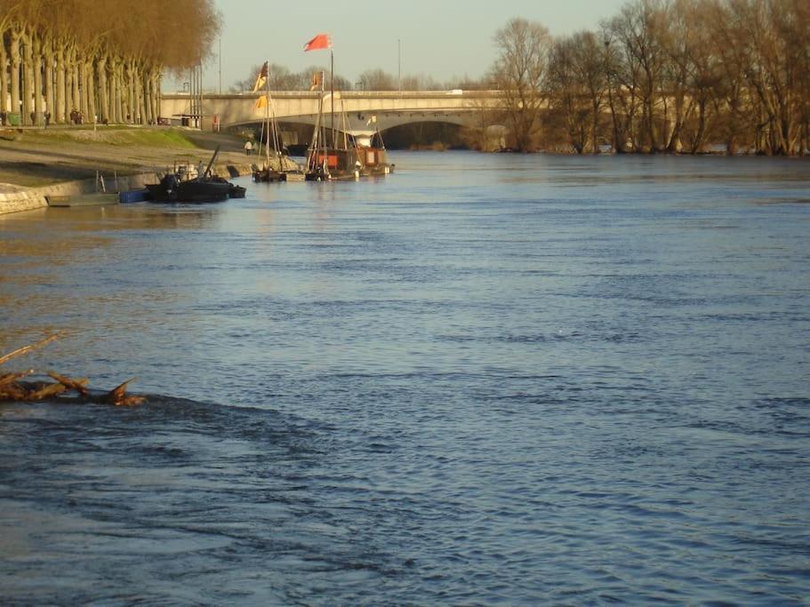 אורליאן Appart Gite Les Oiseaux- Face Loire Quai Du Chatelet מראה חיצוני תמונה